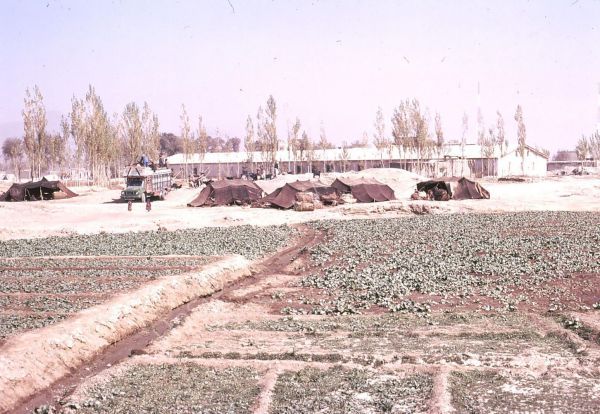 Afghani Nomads & Tents, Outskirts of Kabul